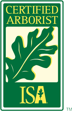 Certified ISA Arborist