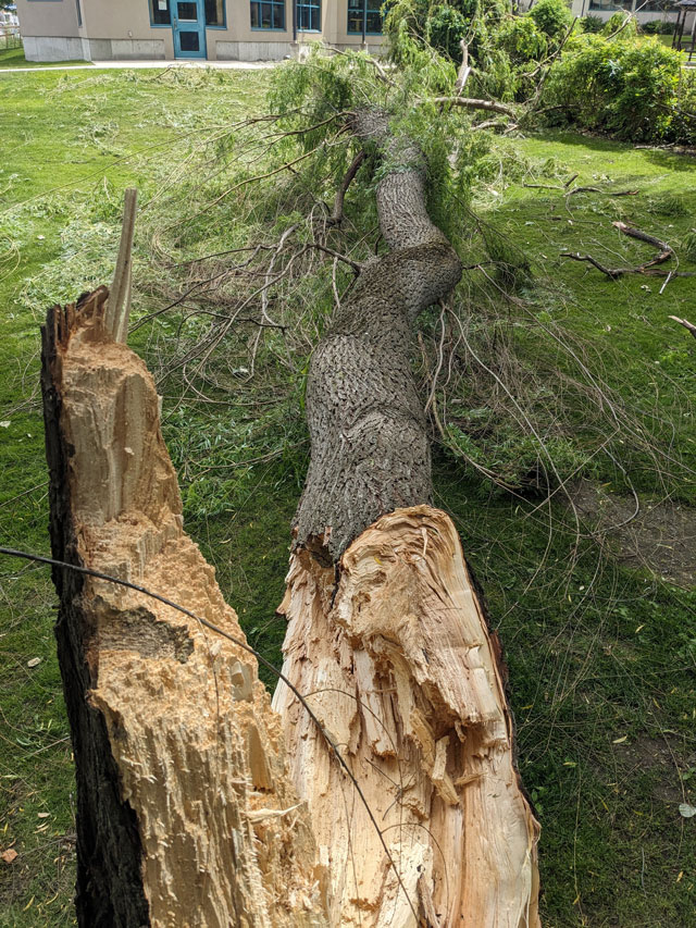 Storm-damage-clean-up