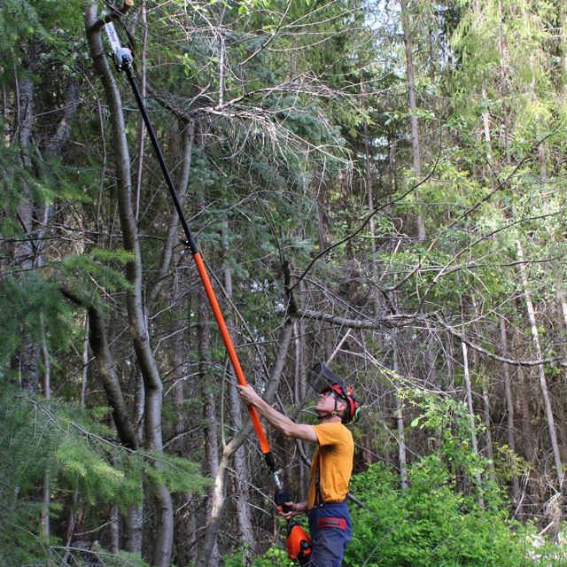 Trimming